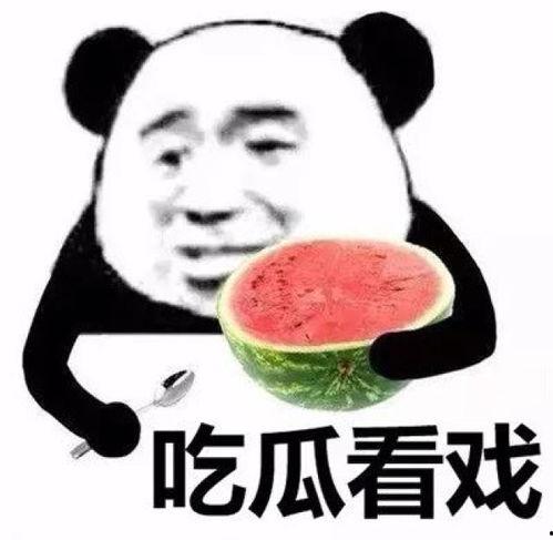 暴走熊猫人娱乐吃瓜